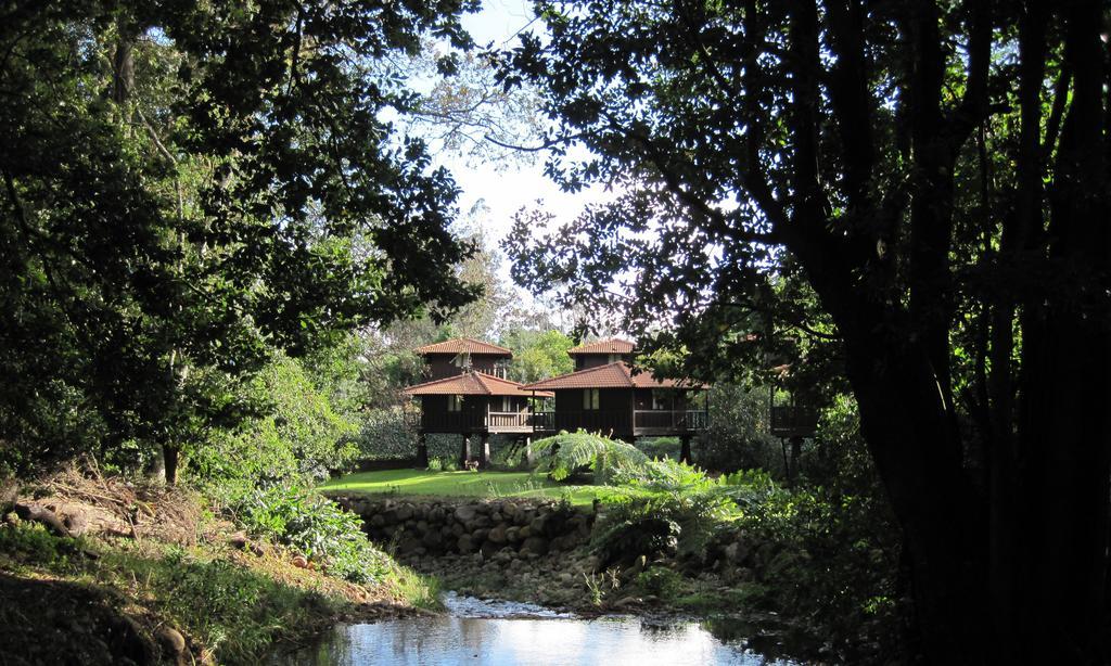 Quinta Das Eiras Santo Antonio da Serra Exterior photo